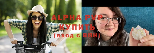 амф Россошь
