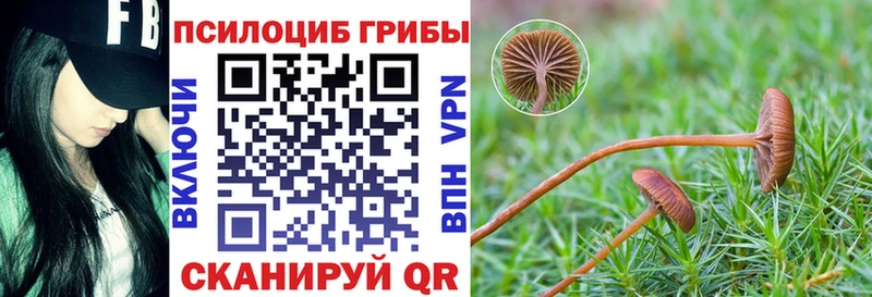 Галлюциногенные грибы GOLDEN TEACHER  Суоярви 